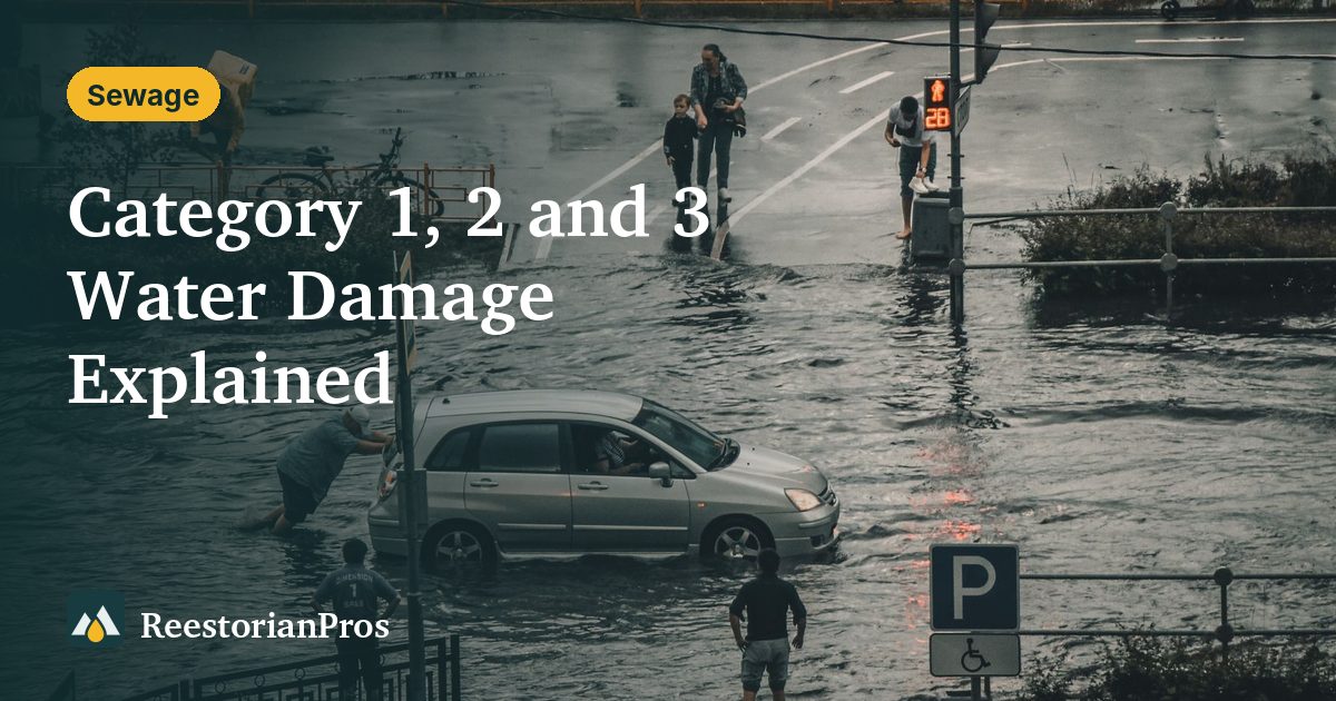 Floodwater covering a city street around a parked car, an example of Category 3 water